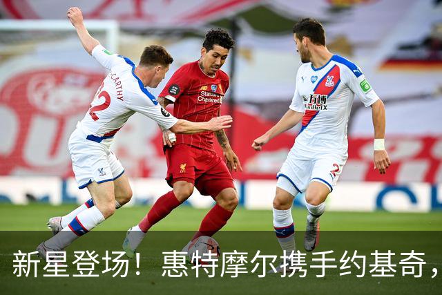 新星登场！惠特摩尔携手约基奇，掘金重启梦想