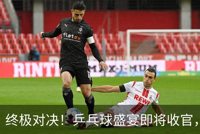 终极对决！乒乓球盛宴即将收官，国乒寻金之路！
